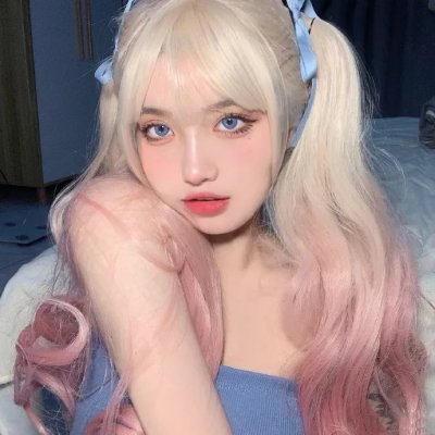 科搜研之女第24季